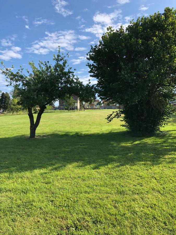 The Walnut Tree Gite Le Dorat Екстер'єр фото